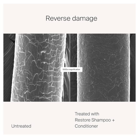 Living Proof Restore Shampoo & Conditioner Duo Set of 2 NEW - Picture 6 of 8